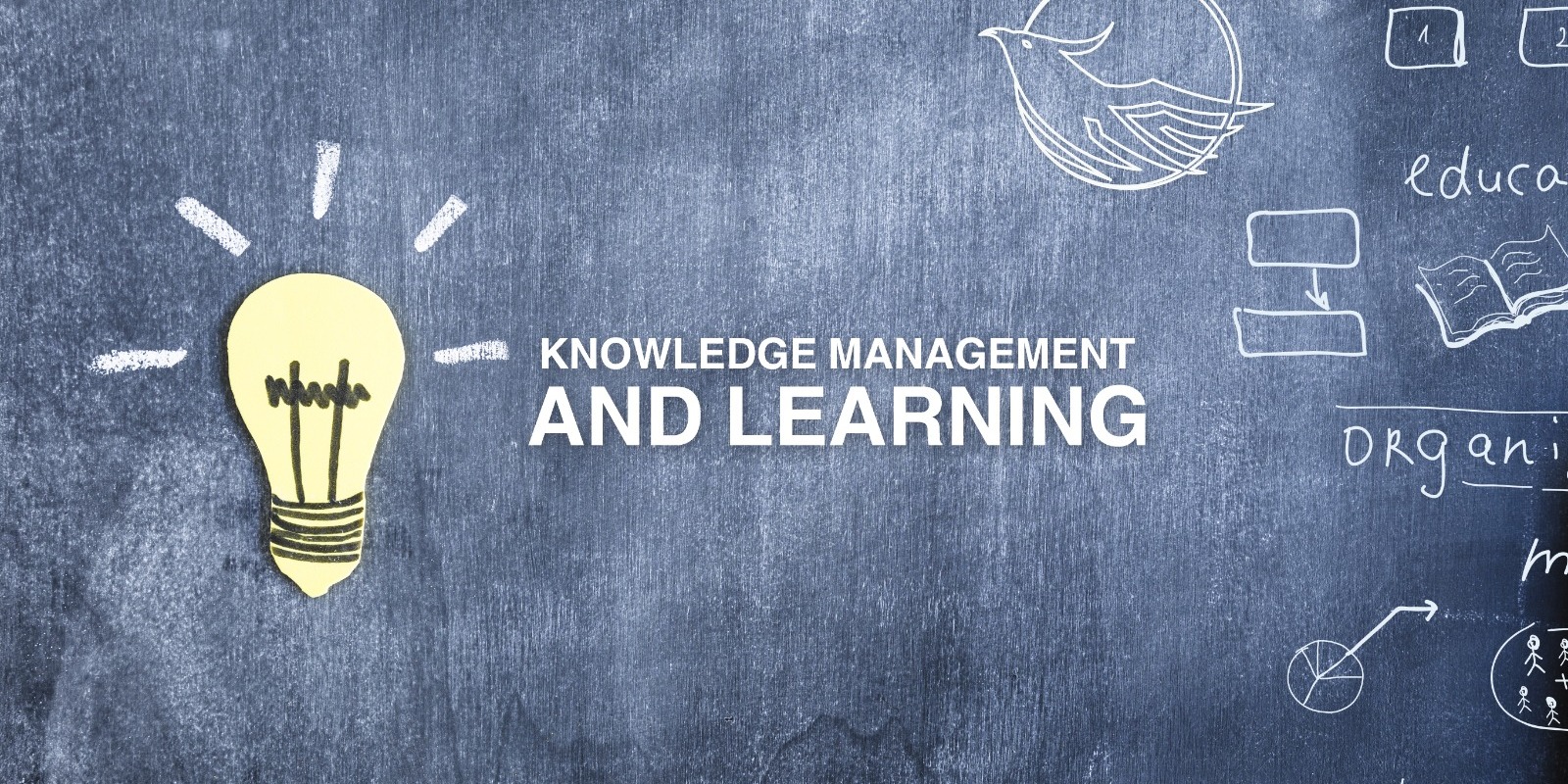 Knowledge Management and Learning